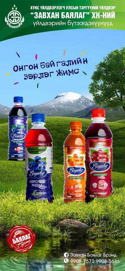 ӨТГӨРҮҮЛСЭН ШҮҮС 