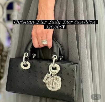 Christian Dior Lady Dior East/West