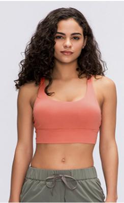 Autumn Sport Bra 