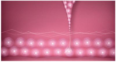 Gollagen Mix- Pomegranate, Tart Cherry, ABC Juice